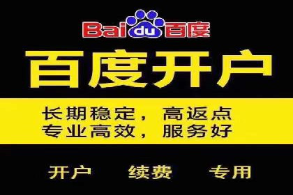 搜索引擎营销（SEM）成功运营的五大案例